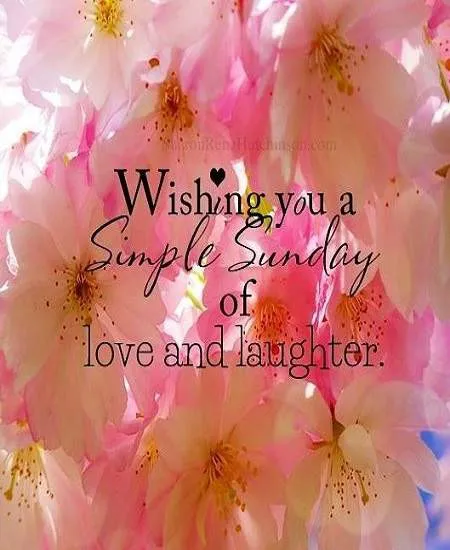 Sunday Greetings Greeting Cards 10111