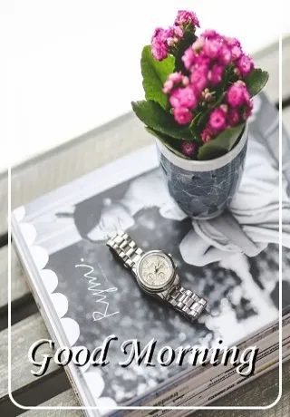 Saturday Greetings Greeting Cards 15311
