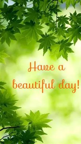 Good Morning Wishes Greeting Cards 6805