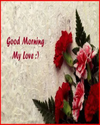 Good Morning Wishes Greeting Cards 6807