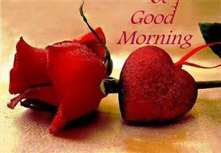 Good Morning Wishes Greeting Cards 6803