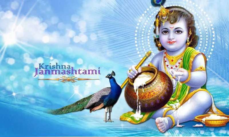 Krishna Janmashtami Greeting Cards 47859