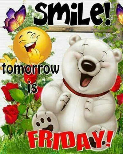 Everyday Greetings Greeting Cards 24998