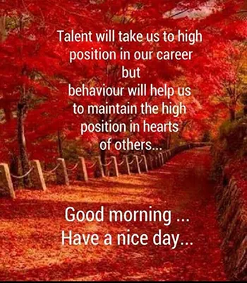Good Morning Wishes Greeting Cards 25527