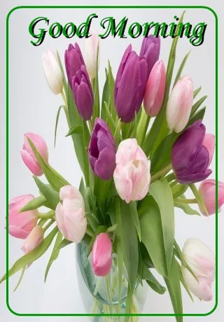 Saturday Greetings Greeting Cards 15306