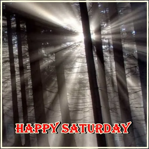 Saturday Greetings Greeting Cards 15260