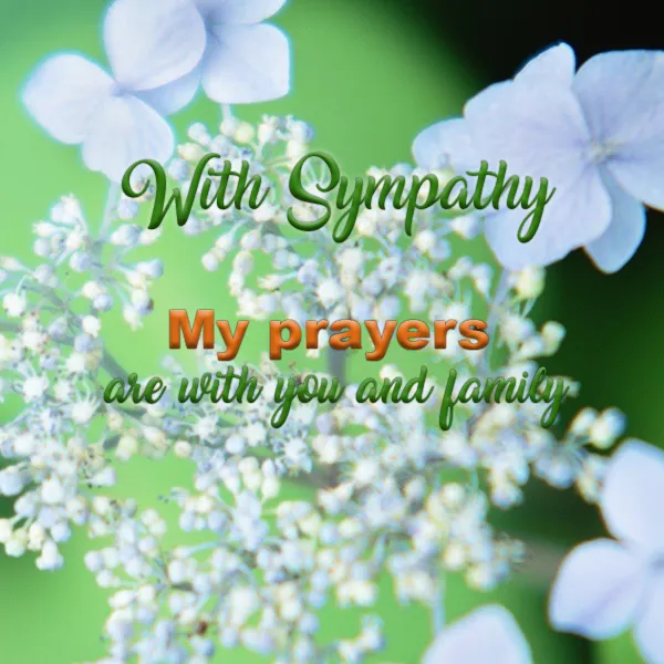 Sympathy Greetings Greeting Cards 49896
