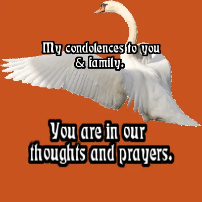 Sympathy Greetings Greeting Cards 50118