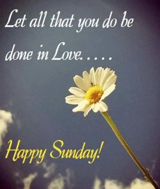 Sunday Greetings Greeting Cards 10115
