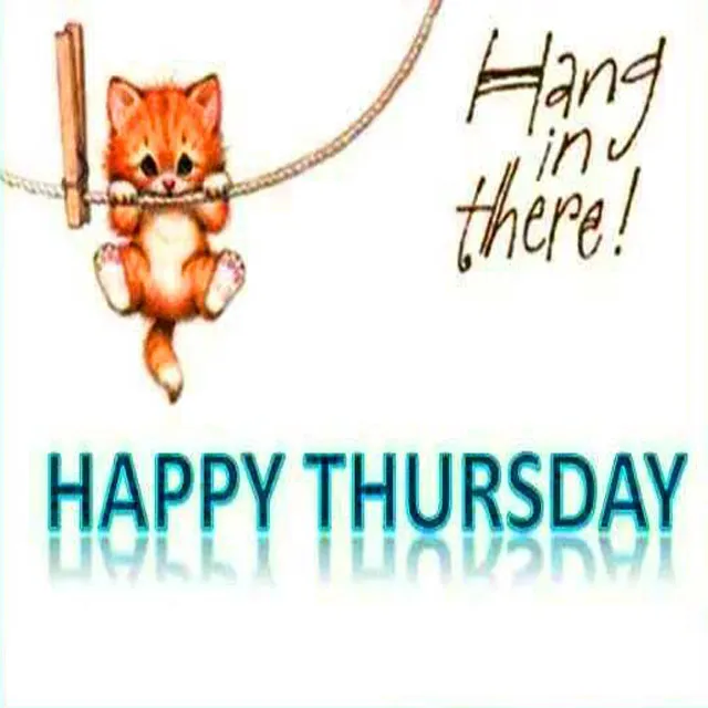 Everyday Greetings Greeting Cards 14573
