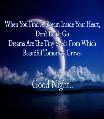 Good Night Greetings Greeting Cards 26105