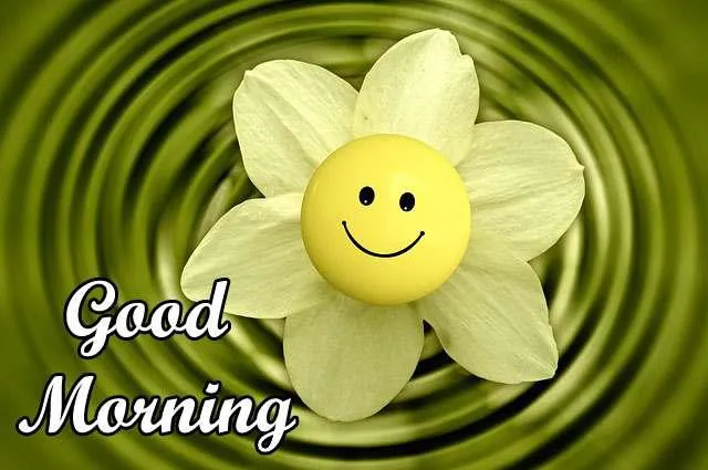 Good Morning Wishes Greeting Cards 7117