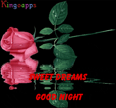 Good Night Greetings Greeting Cards 9698