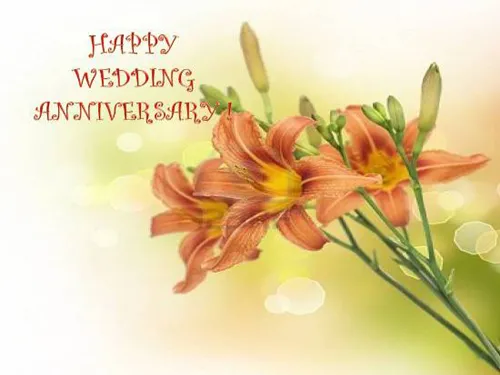 Anniversary Greetings Greeting Cards 8006