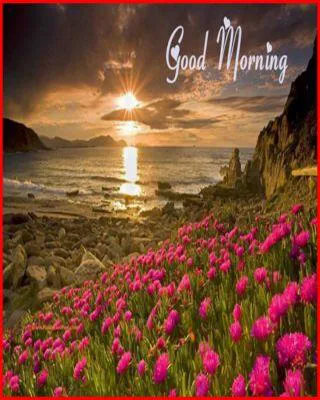 Good Morning Wishes Greeting Cards 6818