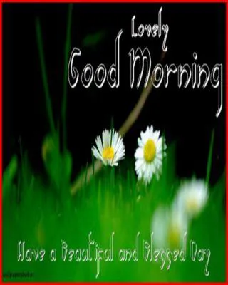 Good Morning Wishes Greeting Cards 6809