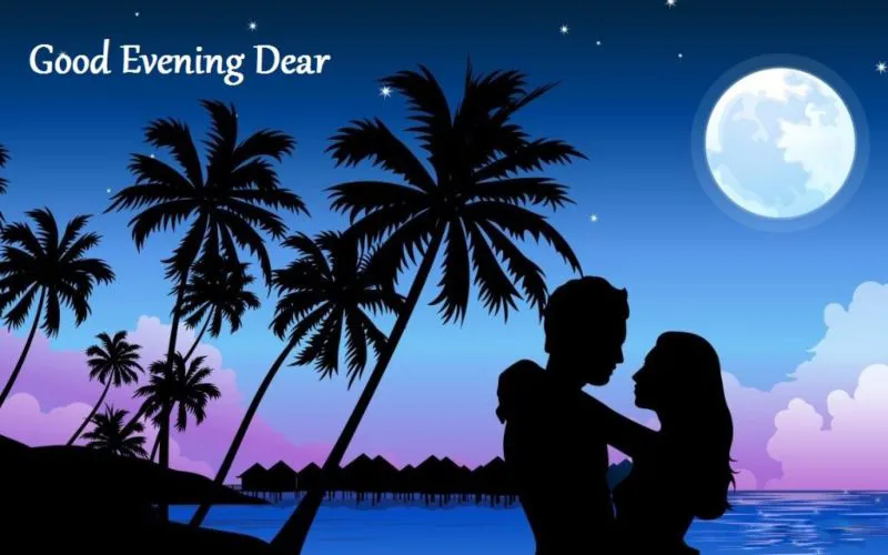 Good Evening Greetings Greeting Cards 9034