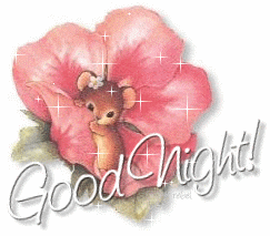 Good Night Greetings Greeting Cards 9158