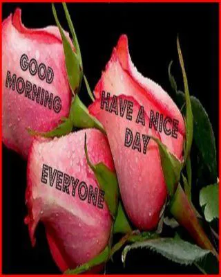 Good Morning Wishes Greeting Cards 6828