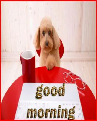 Good Morning Wishes Greeting Cards 6826