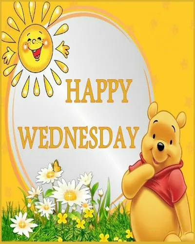 Everyday Greetings Greeting Cards 24785
