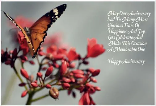 Anniversary Greetings Greeting Cards 8138