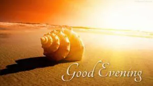 Good Evening Greetings Greeting Cards 9037