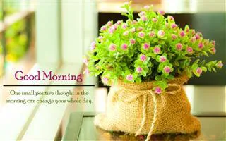 Good Morning Wishes Greeting Cards 6834