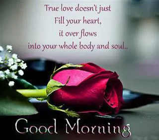Good Morning Wishes Greeting Cards 6836