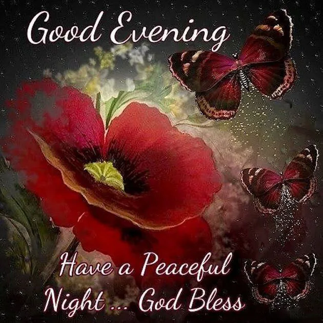 Good Evening Greetings Greeting Cards 9041