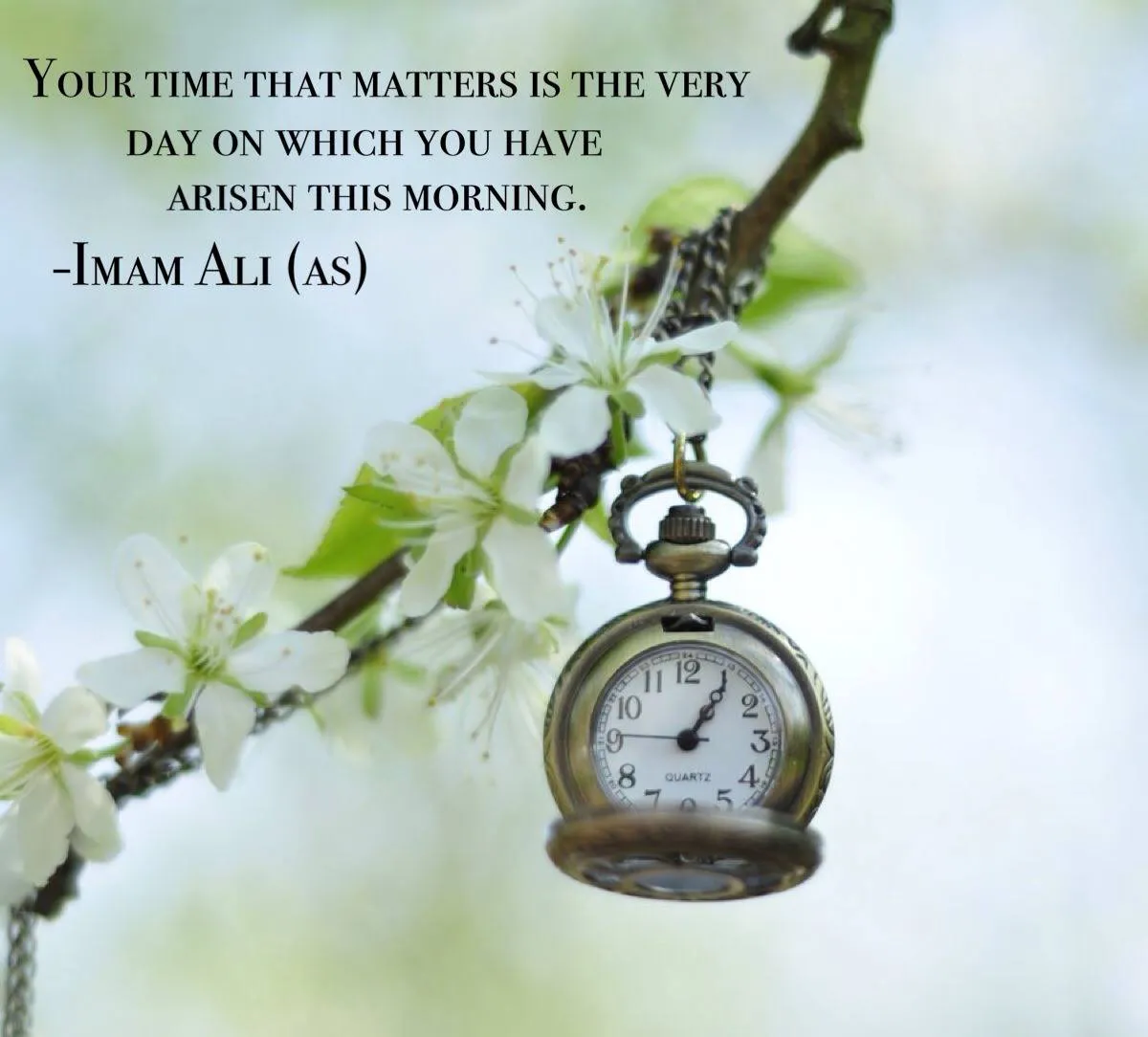 Hazrat Imam Ali Birthday Greeting Cards 71908