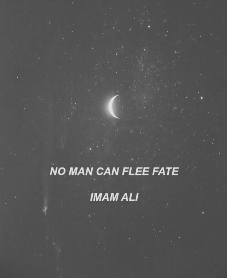 Hazrat Imam Ali Birthday Greeting Cards 71955