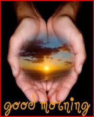 Good Morning Wishes Greeting Cards 6841