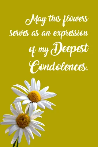 Sympathy Greetings Greeting Cards 49926