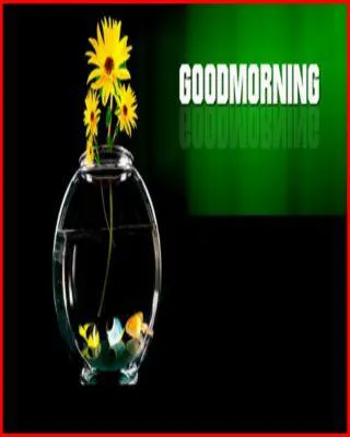 Good Morning Wishes Greeting Cards 6848