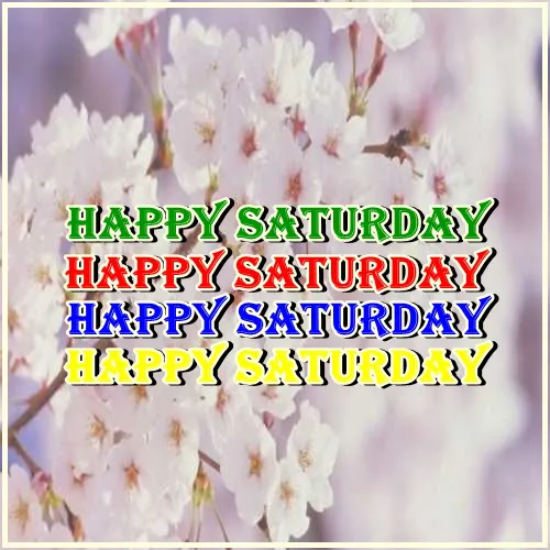 Saturday Greetings Greeting Cards 15262
