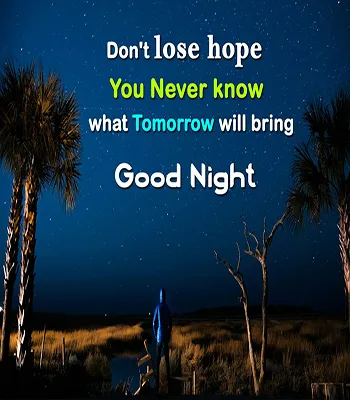 Good Night Greetings Greeting Cards 26107