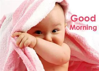 Good Morning Wishes Greeting Cards 6845