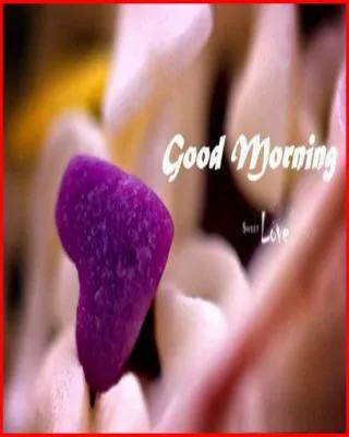 Good Morning Wishes Greeting Cards 6849
