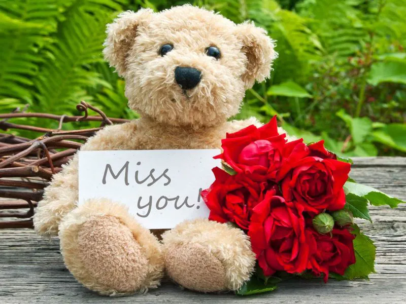 I Miss You Greetings Greeting Cards 13919