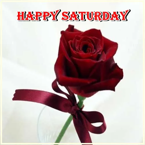 Saturday Greetings Greeting Cards 15314