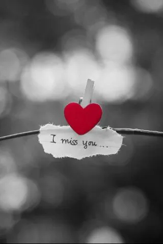 I Miss You Greetings Greeting Cards 13826