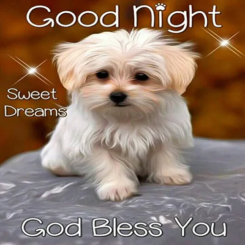 Good Night Greetings Greeting Cards 25834
