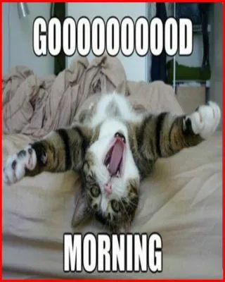 Good Morning Wishes Greeting Cards 6847
