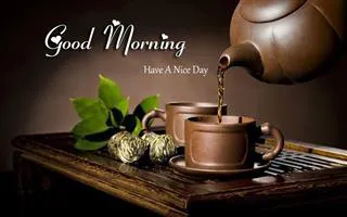 Good Morning Wishes Greeting Cards 6844