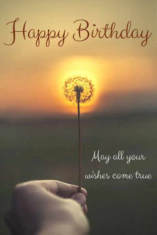 Birthday Greetings Greeting Cards 4091