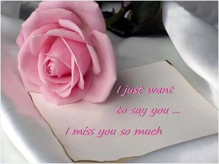 I Miss You Greetings Greeting Cards 13449