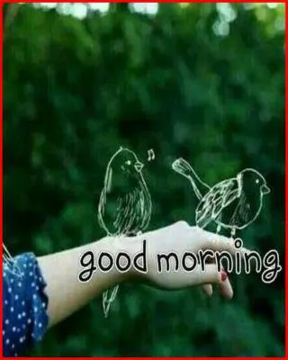 Good Morning Wishes Greeting Cards 6842