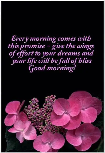 Good Morning Wishes Greeting Cards 7327