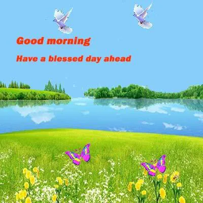 Good Morning Wishes Greeting Cards 7330